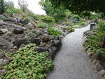 Steingarten im botanischen Garten von Kopenhagen (23.07.2021)