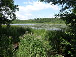 Kleiner See bei Holmegaard, Seeland (19.07.2021)