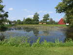 Teich im Schloßpark Kortelitse auf Lolland (18.07.2021)