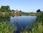 Dorfteich von Bjernede, Region Seeland (22.07.2021)