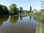 Dorfweiher bei Hojerup, Seeland (19.07.2021)