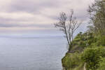 Seeblick von Stevns Klint auf der Insel Seeland in Dänemark.