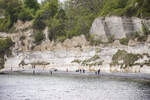 Unesco-Welterbe Stevns Klint auf der Inse Seeland.