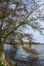 Am Ufer der Norburger See auf der Insel Alsen (Nordschleswig).