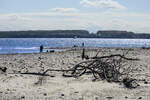 Der Strand bei Kragesand auf der Halbinsel Broagerland in Nordschleswig (Sønderjylland). Aufnahme: 22. April 2024.