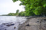 Strand am Gauerslund Skov östlich von der Stadt Vejle.