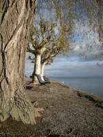 Winterliche Ruhe am Bodensee.
(Dezember 2009)