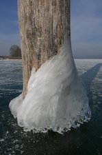 Wellen, Wassertropfen und die Kälte formten das Gebilde am Anlegepfahl des Yachthafens der Insel Reichenau (28.01.2017).