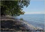 Erholung pur: Wasser und Schatten am Ufer des Bodensee's laden zum Verweilen ein.