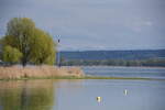 ALLENSBACH, 26.04.2023, am Bodensee mit Blick auf Reichenau und Alpen