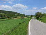 Obstbäume an der Straße zwischen Uttenhofen und Nordhalden, Hegau (25.05.2017)