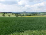 Felder und Streuobstwiesen bei Welschingen, Lkr.