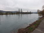 Hochrhein bei Kadelburg im Klettgau (29.12.2018)