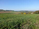 Naturraum Kocher-Jagst-Ebenen bei Dörzbach, Hohenlohekreis (15.10.2017)