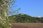 Stadtkulisse Waldenburg hinter einem blühenden Apfelbaum am 25.04.2020.