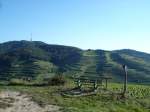 Kaiserstuhl/Baden,  oberhalb von Oberbergen, Blick zum Totenkopf,  Aug.2008