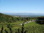 Kaiserstuhl/Baden,  Blick vom Vogelsangpass auf Freiburg und Schwarzwald,  Aug.2008