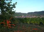 Blick auf Bischoffingen,  bekannter Weinort am Kaiserstuhl,  Okt.2004