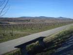 Blick vom Tuniberg zum Kaiserstuhl,  Mrz 2010