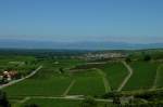 Blick vom Kaiserstuhl in die Rheinebene auf den Weinort Burkheim, im Hintergrund die Vogesen, Juni 2011 