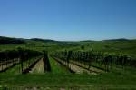 Kaiserstuhl, Blick von der Weinlage  Leiselheimer Gesthl  auf die westlichen Auslufer des Kaiserstuhles, Juni 2011