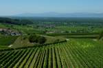 Kaiserstuhl, Blick von der  Mondhalde  auf Niederrotweil, die Rheinebene und die Vogesen im Hintergrund, Juni 2011