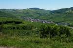 Kaiserstuhl, der Weinort Oberbergen, dahinter das Naturschutzgebiet am Badberg, Juni 2011