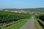 Kaiserstuhl, die westlichen Auslufer mit dem Weinort Burkheim, Sept.2012