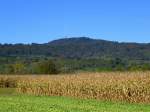 Blick aus der Rheinebene bei Btzingen zum Kaiserstuhl mit dem 557m hohen Totenkopf, Okt.2014