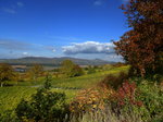 Blick vom herbstlichen Tuniberg zum Kaiserstuhl, Okt.2015