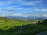 Kaiserstuhl, Blick von den Weinbergen oberhalb von Ihringen zum Tuniberg, dahinter der Schwarzwald, Aug.2016