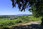 Blick ber die Weinberge bei Malterdingen hinber zum Kaiserstuhl, Juni 2023