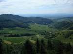 Kaiserstuhl/Baden
Blick vom Eichelspitzturm in den Kaiserstuhl- Krater  im Hintergrund die Vogesen,links die hoechste Erhebung,der Totenkopf  mit 557m und Sendeturm