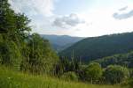 Schwarzwlder Berge (am Orgelfelsenhaus, 15.06.12)