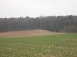 Blick über verschiedene Felder zu einem Waldstück nahe Bruchsal (3.4.13)