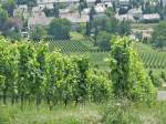 Wartberg in Heilbronn: Der Blick zum Heilbronn und den vielen Weinbaugebiet am 13.07.2013    Beliebtes Ausflugsziel 308 m ber Heilbronn    Der Wartberg ist eine der Einzellagen des Heilbronner