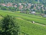 Wartberg in Heilbronn: Der Blick zum Heilbronn und den vielen Weinbaugebiet am 13.07.2013    Beliebtes Ausflugsziel 308 m ber Heilbronn    Der Wartberg ist eine der Einzellagen des Heilbronner