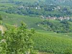 Wartberg in Heilbronn: Der Blick zu den groen Weinbaugebiet am 13.07.2013    Beliebtes Ausflugsziel 308 m ber Heilbronn    Der Wartberg ist eine der Einzellagen des Heilbronner Weinbaus.