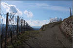 Hohentwiel, blauer Himmel und links ein Rebenbogen -

Weinberg am Südhanges des Hohentwiels.

04.02.2018 (M)