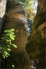 Grün vor Stein -

In den Hessigheimer Felsengärten.

30.10.2016 (M)