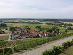Aussicht auf Weinberge im Kirbachtal bei Hohenhaslach, Kreis Ludwigsburg (24.06.2018)