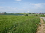 Hochplateau der Hohenloher Ebene bei Gammesfeld (29.05.2016)