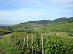 Markgrflerland,  Blick auf Ebringen,im Hintergrund Freiburg,  2008