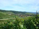 Markgrflerland,
Blick ins Schneckental und auf Pfaffenweiler,
2008