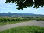 Markgrflerland,  Blick in Richtung Staufen und den Schwarzwald,  2008 