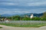 Blick ber den Weinort Wettelbrunn zur Burgruine Staufen, dahinter die Schwarzwaldberge, Mai 2012