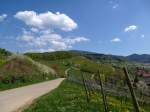 Feldberg im Markgrflerland, Blick ber die Weinberge zum Hochblauen (1165m), rechts unten der Ort, April 2013