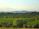 Blick bers Markgrflerland zum Kaiserstuhl im Abendlicht, Aug.2015