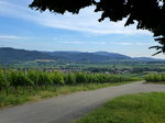 Blick vom Batzenberg nach Süden ins Markgräflerland, im Vordergrund der Weinort Kirchhofen, Juni 2015