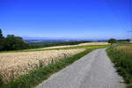 Weg mit großartiger Aussicht, über die Berge des Markgräflerlandes zwischen Bamlach und Schliengen, mit Blick in die Rheinebene und zu den Vogesen im Hintergrund, Juli 2019